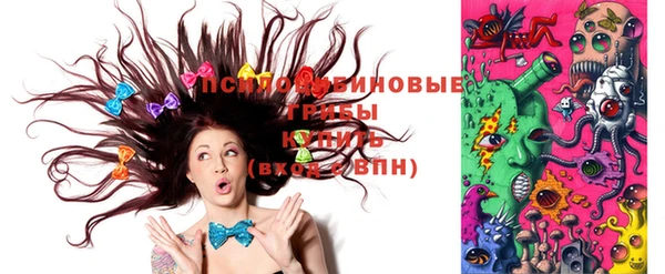 марки lsd Белокуриха