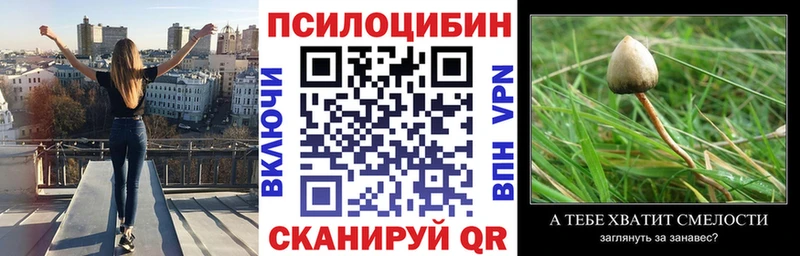 Купить закладки  Лакинск  Галлюциногенные грибы мицелий 